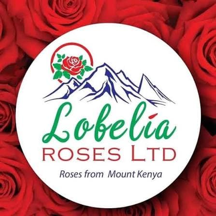 Lobelia Roses logo